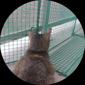 Meet your Posher, Lara